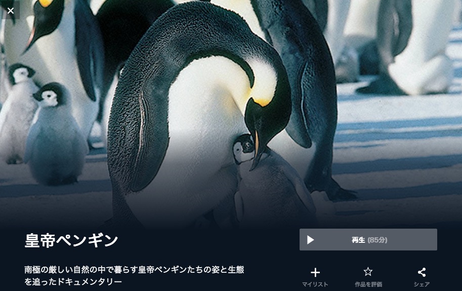  U-NEXTの皇帝ペンギンの動画配信状況