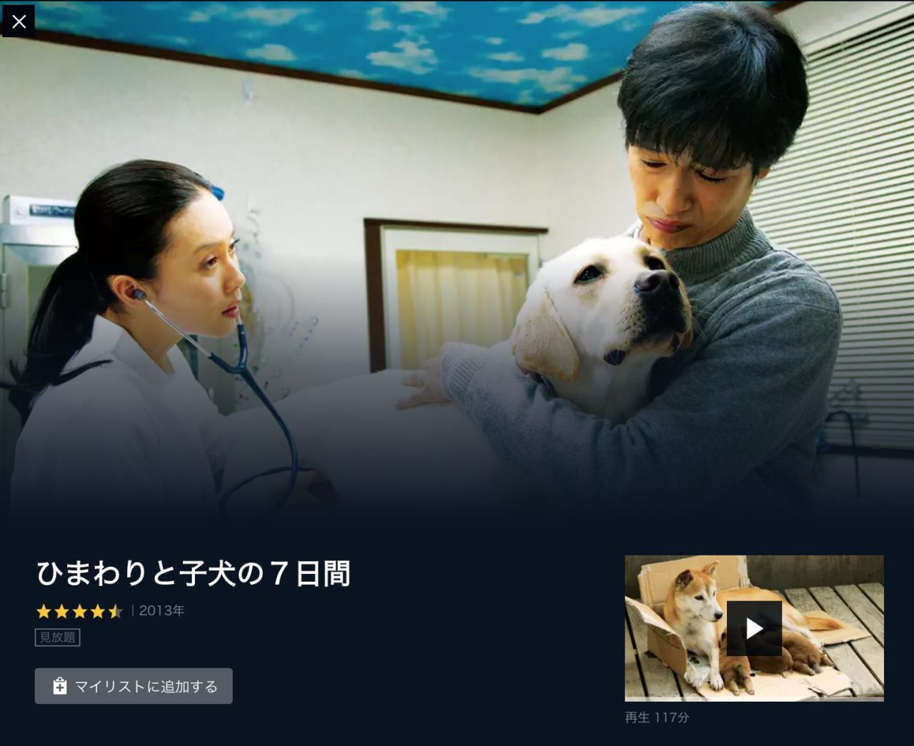 映画 ひまわりと子犬の７日間 の動画をフルで無料視聴する方法 映画無料動画コム
