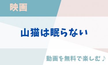 映画「山猫は眠らない」の動画をフルで無料視聴できる公式配信サービス（字幕・吹き替え）