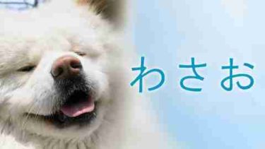 映画 銀の匙 Silver Spoon の動画をフルで無料視聴する方法 映画無料動画コム 映画 銀の匙 Silver Spoon の動画をフルで無料視聴する方法 映画無料動画コム